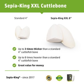 Sepia King - Extra Large - 100% Natural Calcium Supplement - Premium Cuttlebone Perfect for Birds, Tortoises, Snails, Reptiles - Pack of 3