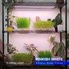 Barrina Grow Lights for Indoor Plants, Full Spectrum Sunlight, 2ft