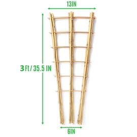 SWANGSA 5 Pack 3Ft Bamboo Trellis for Climbing Plants Support, Fan-Shaped Ladder Trellis for Outdoor and Indoor Potted Plants Cucumber Garden Stakes