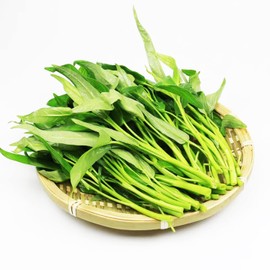 VISTATU 2000+ Kong Xin CAI Vegetable Seeds Water Spinach Kangkong Delicious Vegetable Seeds for Green Leaf Planting Garden Non-GMO Choy Ong Seed