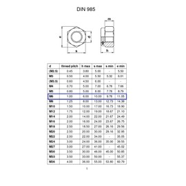 TERF® M6 Nylon Insert Hex Steel Nut M6 (6mm) Stainless Steel A4 (316) Marine Grade Self Locking Nylock Hex Nuts - Pack of 25