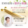 WQC 24K BEAUTRE(ビュートレ) EMS 電動美顔器 防水 約130g