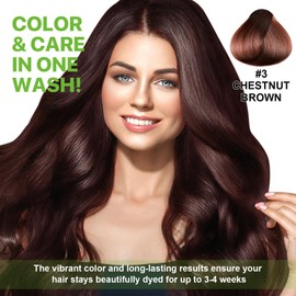 Instant Nature Herbal 3 in 1 Chestnut Brown Hair Dye, 16.9 Fl Oz, Long Lasting, Instant Color Shampoo for Men and Women with Gray Hair Coverage