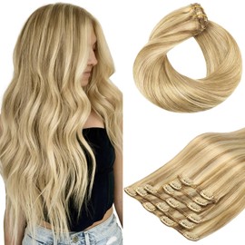 hotbanana Clip In Extensions Echthaar, Light Blonde Highlighted Golden Blonde (Grauton) Clip in Hair Extensions Real Human Hair Straight Remy Echthaar Extensions Clip 35cm 120g 7pc