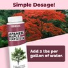 Japanese Maple Fertilizer, Complete Liquid Plant Food for All Japanese