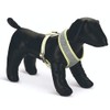 Beeztees Puppy Harness Grey Medium
