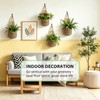 VMEECARL 4-Pack 5-Inch Macrame Wall Plant Hangers, Natural Cotton Hanging