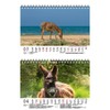 Eselzauber DIN A5 Desk Calendar for 2022 Donkey Seelenzauber