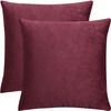 PiccoCasa Velvet Cushion Covers Set of 2 Stylish Nordic Decorative