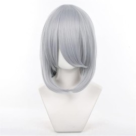 Eileen Cosplay Medium Light Gray Wig, Fluffy Hair, 40cm Universal Cosplay Wig, For Men and Women, Heat Resistant, Event Wig, Includes Net