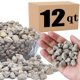 Horticultural Pumice for Plants Professional Sifted (12QT, 1/2 inch)