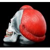 Figuren Shop GmbH Gothic Skull Horror Clown - Play Time