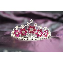 Beautiful Flower Bridal Wedding Tiara Crown with Hot Pink Crystal Party Accessories DH15764c