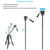 65" Camera Tripod,Q310 Lightweight Travel Portable Cell Phone Tripod Stand