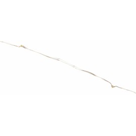 Product Works Battery Operated Silver Wire Indoor and Outdoor LED Light String, Warm White 20'