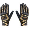 ZETT BG318RA Pro Status Batting Gloves, For Both Hands, Black