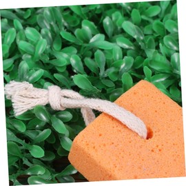 Ipetboom 2sets Pumice Stone Pedicure Set Exfoliating Tool Dead Skin Remover Rubbing Stone Grinder Storage-friendly Australia 4pcs*2