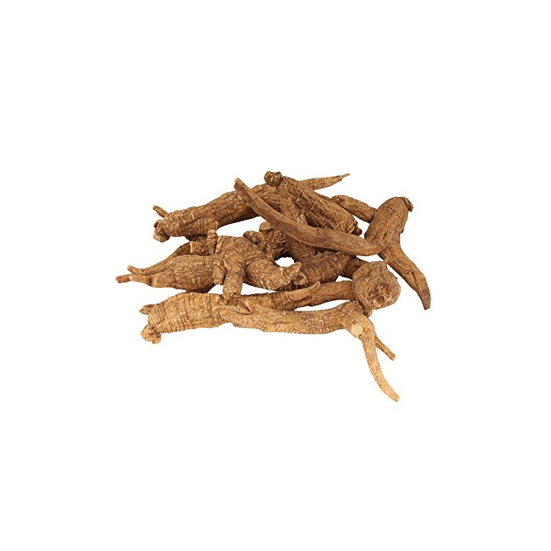 BambooMN Ginseng Root Large 3 Year Old American Grown Cultivated