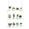 Hanging Clear Plant Shelves for Windows, 3-Tier Acrylic Window Wall