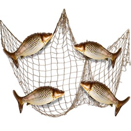 Silipull 5 Pcs Sea Animal Balloons Decorative Fish Net Set Crab Lobster Fish Foil Balloons Ocean Nautical Themed Party Decorations for Under The Sea Pirate Birthday Party Decorations (Fish)