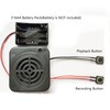 CYSFETENA Playable Sound Module with Clear Sound Quality, 3 W
