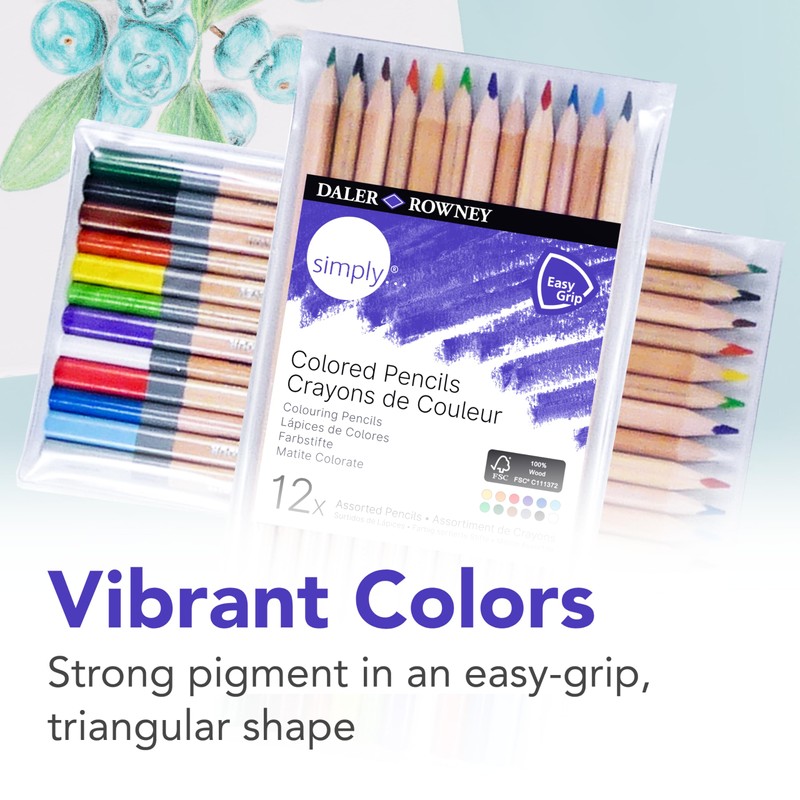 Daler-Rowney simply coloured colouring pencils 12 assorted colours set
