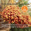 Mariani Dried Pitted Dates, 30oz Bag - Dried Dates Pitted