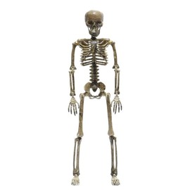 Gothic Rebel - Skelly The Desktop Posable Skeleton - Size: 13 Inch Skelly
