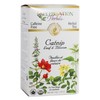 Celebration Herbals Organic Catnip Leaf and Blossom Tea Caffeine Free