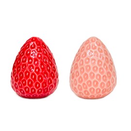 Qiuhome Strawberry Salt and Pepper Shakers Cute Ceramic Salt and Pepper Shakers Set
