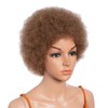 10 Inch Women's Short Afro Kinky Curly Hair Black Wigs