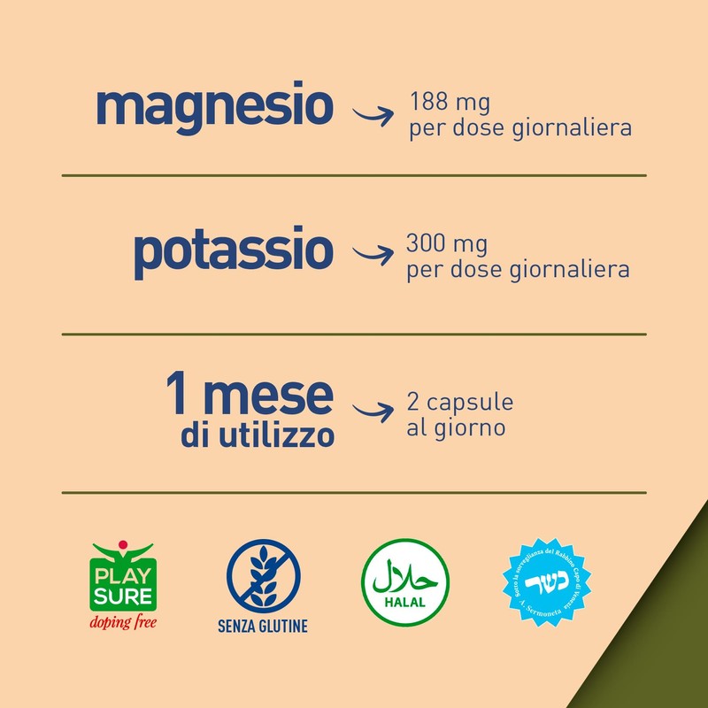 LongLife® Magnesium K | Integratore magnesio e potassio | Funzione
