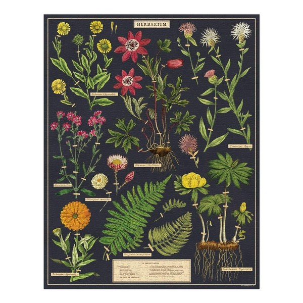 Cavallini Papers & Co. Herbarium 1,000 Piece Puzzle, Multi