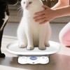 Pet Scale for Dogs - Hamster Weighing Tool | Space-Saving