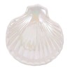 Ciieeo Ceramic Shell Shaped Jewelry Dish Trinket Holder for Rings