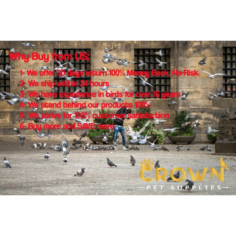 Bird Aid Pet Anabolic Speed & Strength Tablets For Pigeons