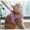 Moonpet Step in Air Dog Harness Leash Set- All Weather