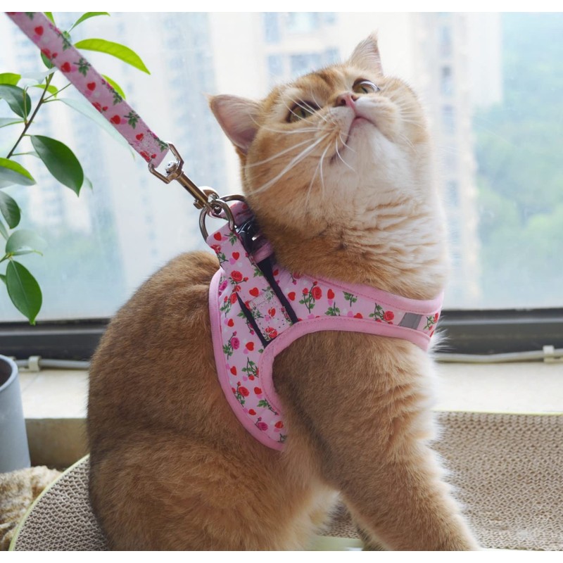 Moonpet Step in Air Dog Harness Leash Set- All Weather