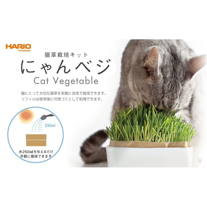 HARIO No-Mow Cat Grass Cultivation Kit nyanbeji Other Refill 2-Pack