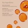 ILIA Balmy Tint Hydrating Lip Balm - Hold Me Beauty