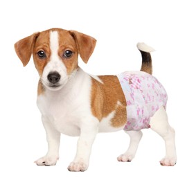 Dono Disposable Dog Diapers Female, Super Absorbent Doggie Diaper, Rapid-Dry Gel Technology Puppy Diapers, Leak-Proof Fit for Doggy Cat in Heat, Excitable Urination, Incontinence, Small