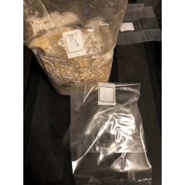 Unicorn 14a Mushroom Grow Bags 10x FREE USA SHIPPING