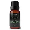 Aceite Esencial de Eucalipto (Eucalyptus Globulus) - 100% PURO PREMIUM