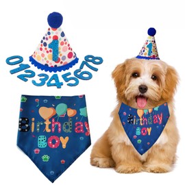 Colorful Pet Dog Cat Birthday Party Hat Set, Polka Dots, Pom-Pom, Bandana