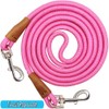 YUCFOREN 6 Foot Dog Tie Out Rope Leash, Heavy Duty
