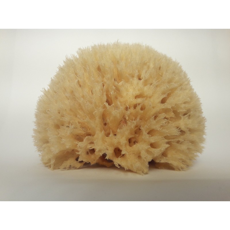 Naturschwamm P130 Premium
