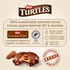 Nestle the Original Turtles 100% Pecan 350g/12.34oz Box {Imported from