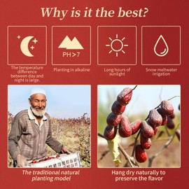 Hee Creek Soft Naturally Sweet Jujube Date Red Dates 21oz/600g Dry Jujube Fruit for Snacks, Tea Beverage, Cooking Soup Porridge, Desert-grown in Western China, with Extreme Day-night Temperature Swings 大枣