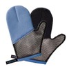 Riossa Skin Polishing Mittens (Skin Cleaning Sponge) Set of 2 (Iris Blue)