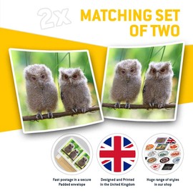 Square Stickers (Set of 2) 7.5cm - Cute Baby Owls Wild Nature Laptop Tablet Luggage Scrapbook #2322